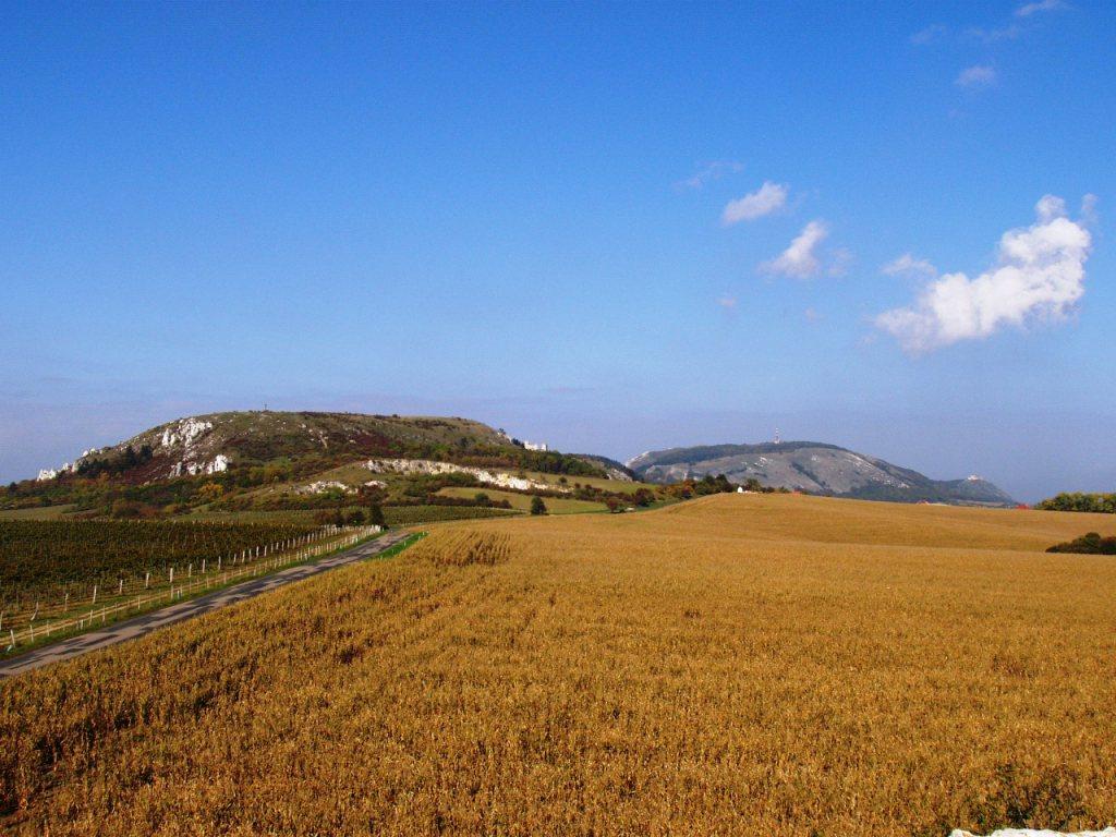 Pálava